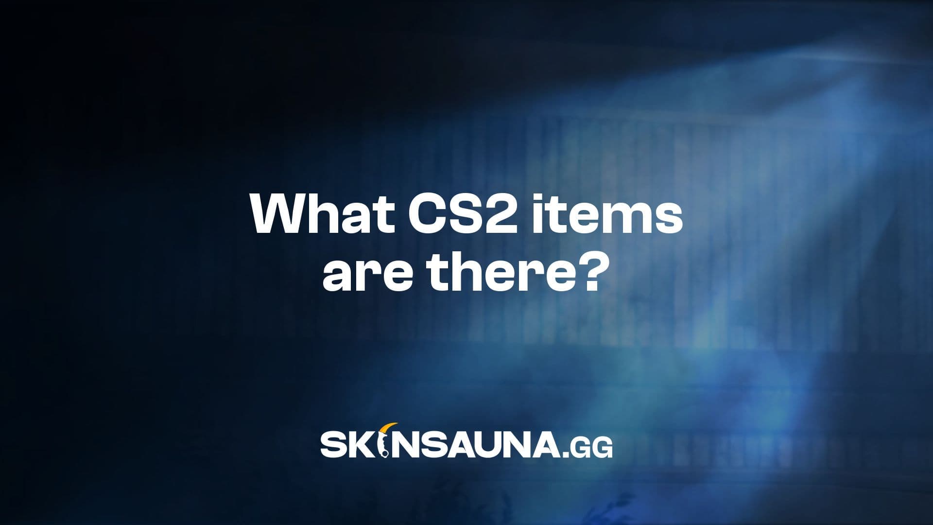 CS2 skins, stickers, charms, cases, agents, and other collectibles explained.